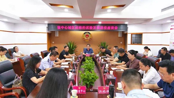 区政协召开强中心城区战略的武陵发展路径座谈会